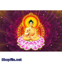 Bổn Sư Thích Ca Mâu Ni Phật